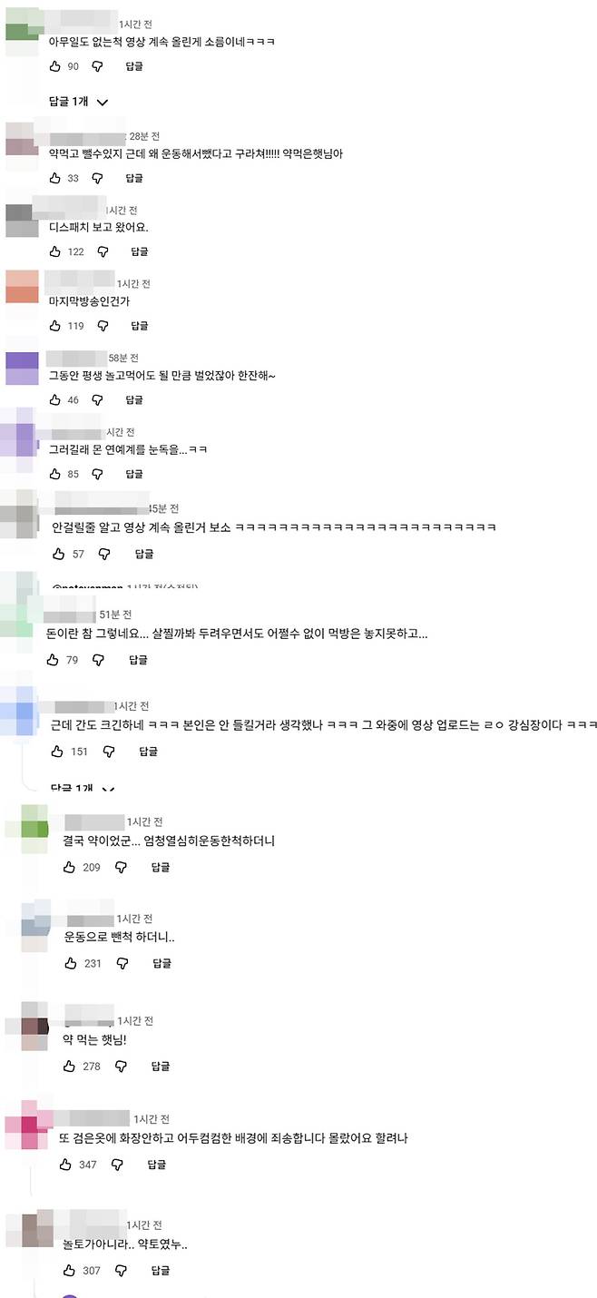 입짧은햇님 유튜브 팬들 반응.