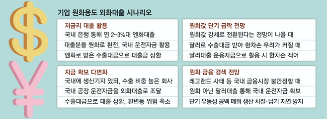 기업 원화용도 외화대출 시나리오
