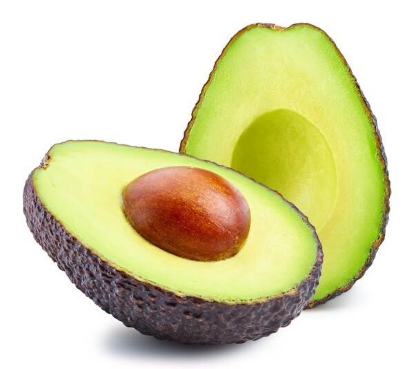 사진 게티이미지뱅크