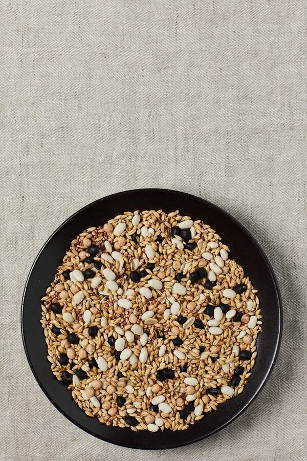 사진 게티이미지뱅크