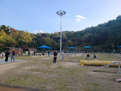 펫빌리지 반려견 놀이터 [창원시 제공. 재판매 및 DB 금지]