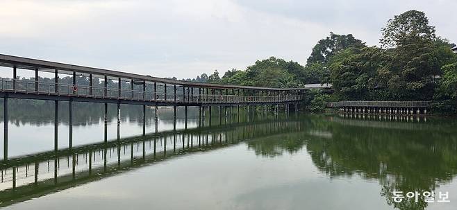 싱가포르 북부 만다이에 올해 1월 개장한 자연 산책로 ‘만다이 보드워크’. 야생동물의 이동 경로를 방해하지 않게 설계됐다.