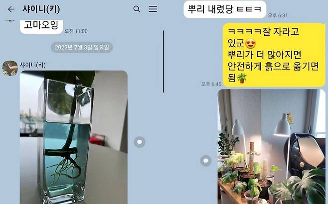 /사진=주사 이모 SNS