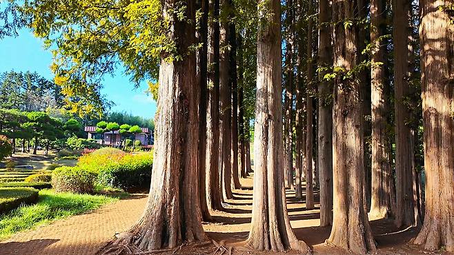 아가페정원의 유럽식 정원 포멀 가든 주변의 전경.