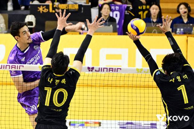 공격하는 아라우조./KOVO