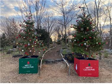 국립생태원 한반도숲 구상나무 군락 입구[국립생태원 제공]