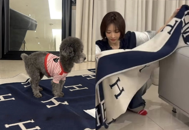 사진 | 유튜브 채널 ‘고준희 GO’ 캡처.