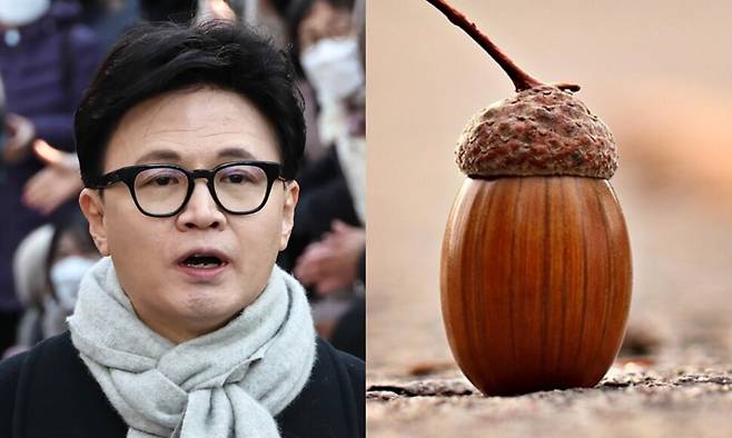 연합뉴스, 픽사베이