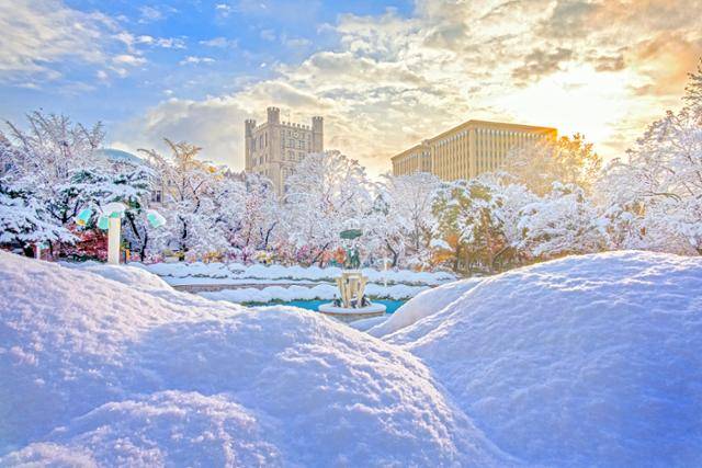 서울 동대문구에 소재한 경희대학교 캠퍼스의 겨울풍경.