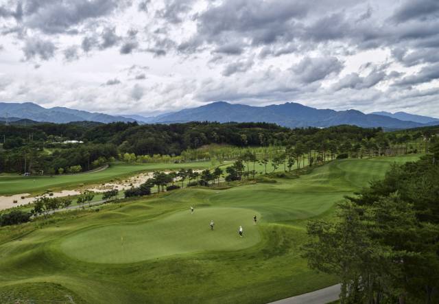 벤트그래스가 식재된 설해원 레전드 코스. 사진 제공=설해원