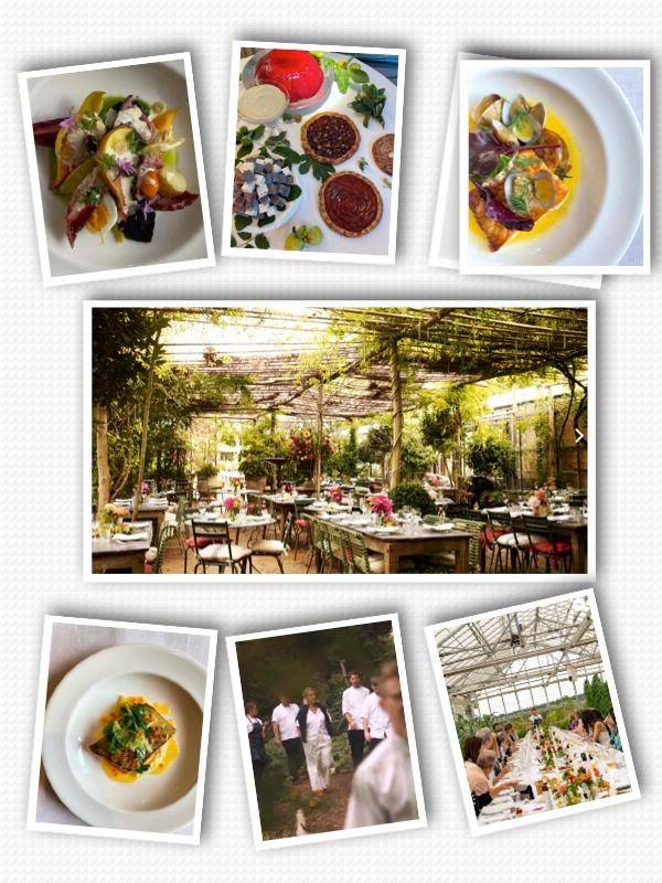 정통 파인다이닝 레스토랑 '스프링'에서 선뵌 긴겔의 메뉴들. 가운데 사진은 그의 첫 레스토랑인 '피터샴 가든 카페' 의 최근 내부 모습. 아래 가운데 사진은 헥필드 하우스 총괄 셰프로서 스태프들과 농장 주변을 산책하는 모습, 2023년 3월 헥필드 하우스에서 열린 제철 농산물 '홈 팜 디너'를 주재하는 그(아래 오른쪽). 인스타그램 @skyegyngell, petershamnurseries.com