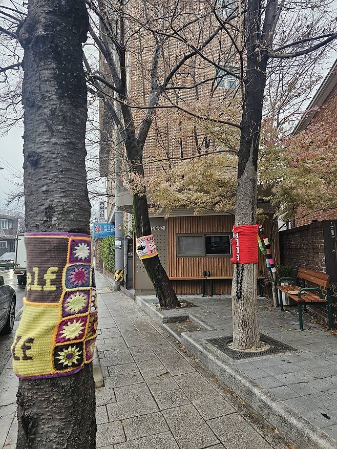 Trees lining a street in Seochon, Jongno-gu, Seoul, stand with their trunks covered in knitted pieces made by participants in a yarn bombing project jointly held by art collective Sineko Studio and hand knitting based fashion brand Dancing Grandma, on Tuesday. (Choi Jae-hee/The Korea Herald)