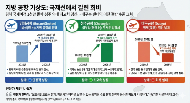 2019년부터 2025년까지 대구·김해·청주공항의 국내선과 국제선 여객 추이를 표시한 비교 분석한 인포그래픽. 국토교통부 항공정보포털시스템 항공운송 통계를 구글 제미나이로 시각화. 2025.12.24. 홍준표기자