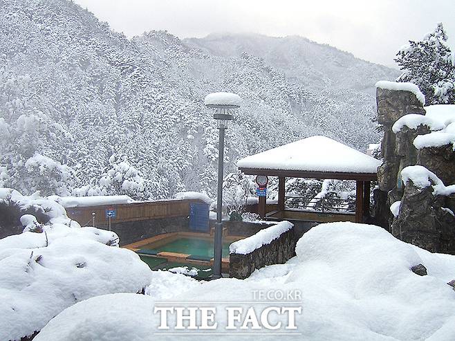 울진 덕구온천의 겨울 노천탕 풍경. /울진군