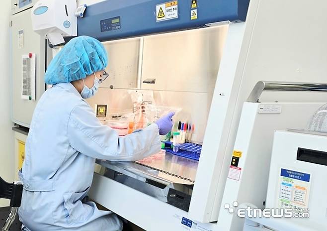 케이메디허브가 미생물 시험 서비스 영역을 확장해 국내 제약·바이오산업의 지원을 강화한다. 전임상센터 연구원이 미생물 시험을 하고 있다.