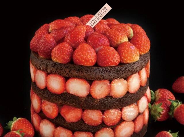 딸기시루. 성심당 인스타그램 갈무리