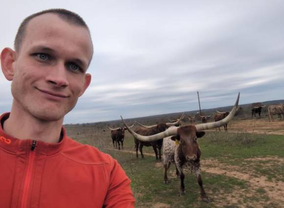 이더리움 창시자 비탈릭 부테린이 시장 강세(Bullish)를 암시하는 문구화 함께 트위터(X)에 게시한 이미지. [사진=비탈릭 부테린 트위터]