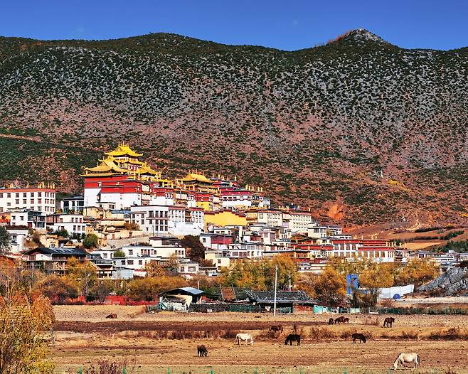 라싸의 포탈라궁 다음으로 큰 규모를 자랑하는 티베트 불교 사원 송찬림사. 중국 내에서도 손꼽히는 이국적인 풍경을 지녔다.