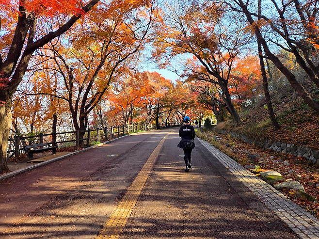 좋아하는 러닝코스 중 하나인 남산 북측순환로.