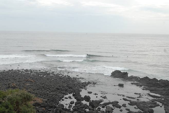 중문 듀크 포인트 [김울프 작가 제공]