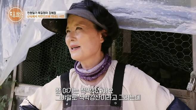 사진 = MBN '특종세상'