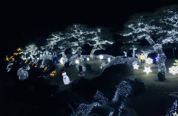 진천군 향토기업 ㈜금성개발이 설치한 크리스마스트리. /㈜금성개발 제공