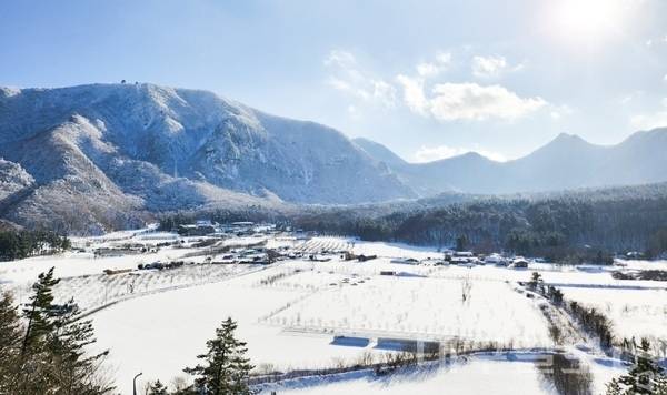 울릉 설국의 대표 명소인 울릉도 나리분지. 대구일보 DB