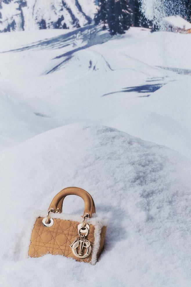 시어링과 가죽을 조합한  '디올 알프스(DiorAlps)' 캡슐 컬렉션 ‘레이디 디올’ 백. 디올.