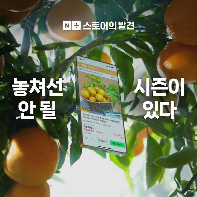 네이버플러스스토어 스토어의 발견 캠페인 이미지