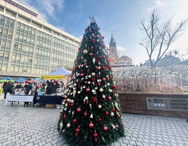 명동대성당 앞에 소원의 나무가 세워져있다. 나경식 기자