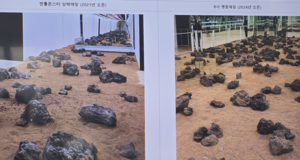 젠틀몬스터 상해 매장(좌측)과 블루엘리펀트 명동 매장. [사진=정슬기 기자]