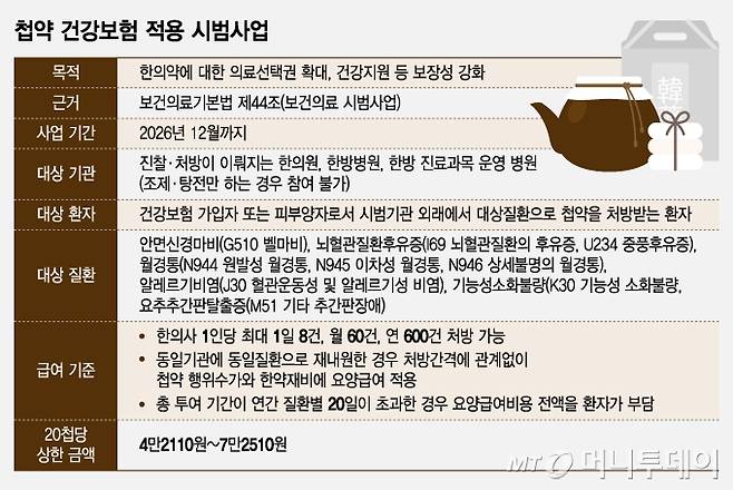 첩약 건강보험 적용 시범사업/그래픽=조수아
