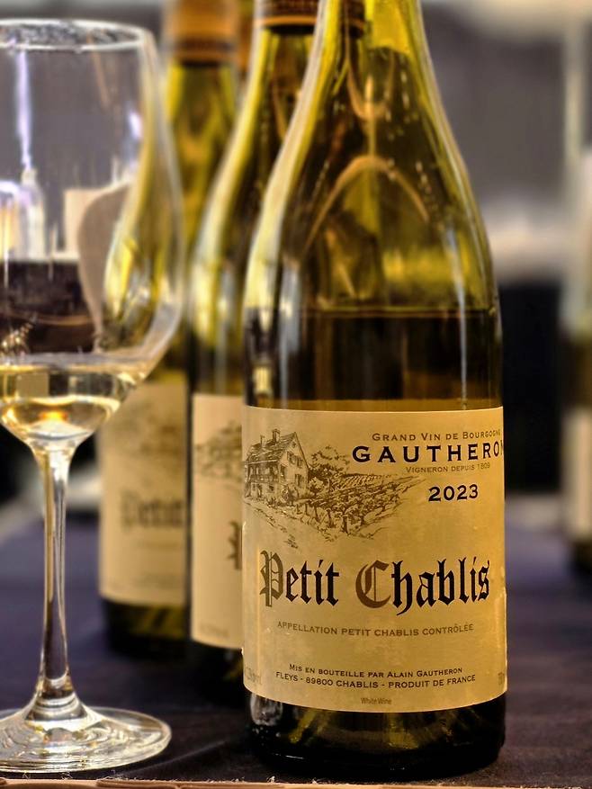 도멘 알랭 애 시릴 고뜨홍 쁘띠 샤블리. 최현태 기자