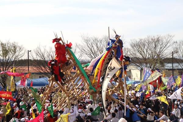 창녕군 영산쇠머리대기 장면.