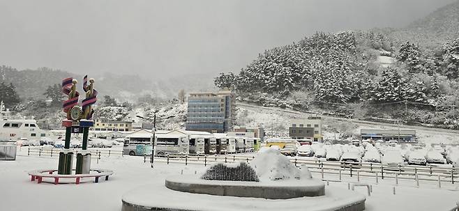 ▲ 눈 쌓인 사동항 여객선 터미널 앞 풍경 사진 독자제공