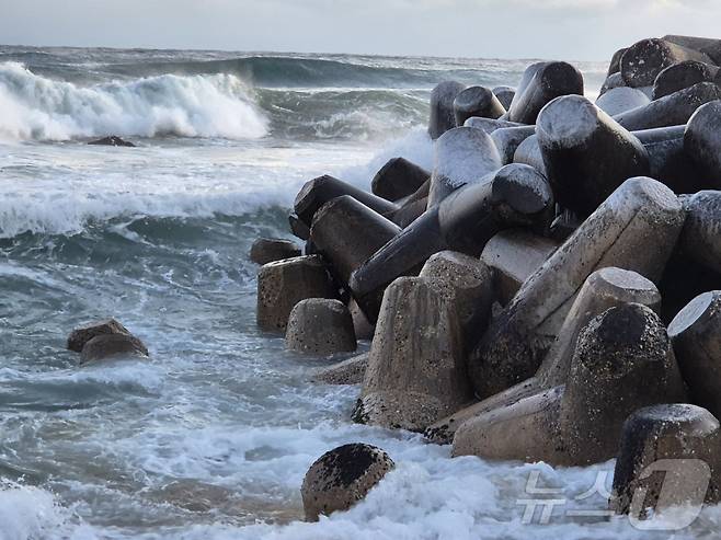 강원 대부분 지역에 한파특보가 발효된 26일 강릉시 강문해변 테트라포드에 얼음이 얼어붙어 혹한의 기세를 보여주고 있다. 2025.12.26/뉴스1 ⓒ News1 윤왕근 기자