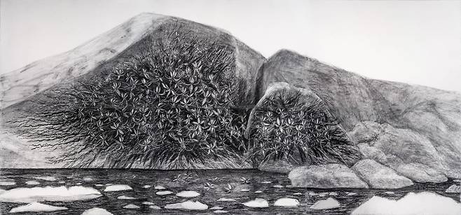 허윤희 Huh yun-hee, 빙하- 풍란 2 Glacier- Neofinetia Falcata 2, 2025. /대구미술관