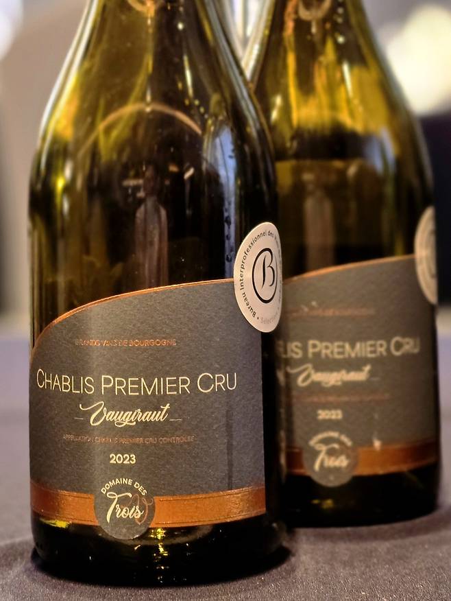 도멘 데 트루아 베 보지로.&nbsp; 최현태 기자