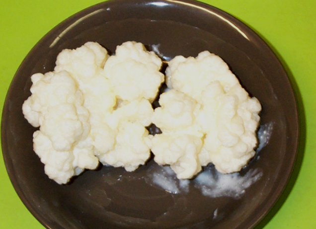 케피어 관련 이미지. 위키피다아