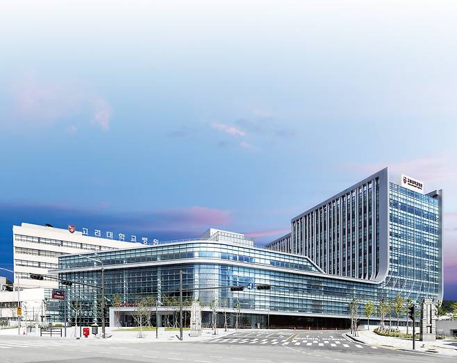 고려대안암병원 전경. 고려대안암병원&nbsp;&nbsp;
