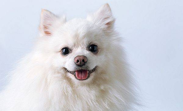 ⓒ게티이미지뱅크