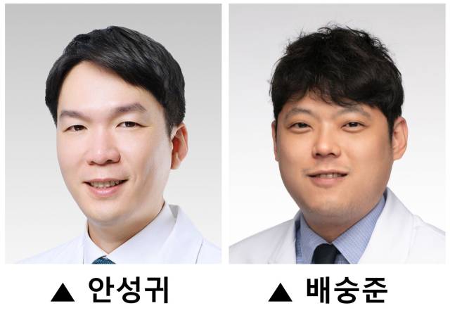 안성귀(왼쪽)·배숭준 연세대 강남세브란스병원 유방외과 교수. 사진 제공=강남세브란스병원