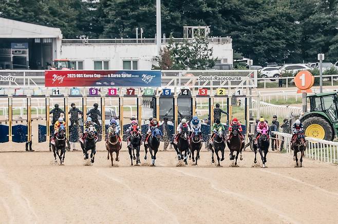 제8회 코리아컵&코리아스프린트(IG3) 출발 모습