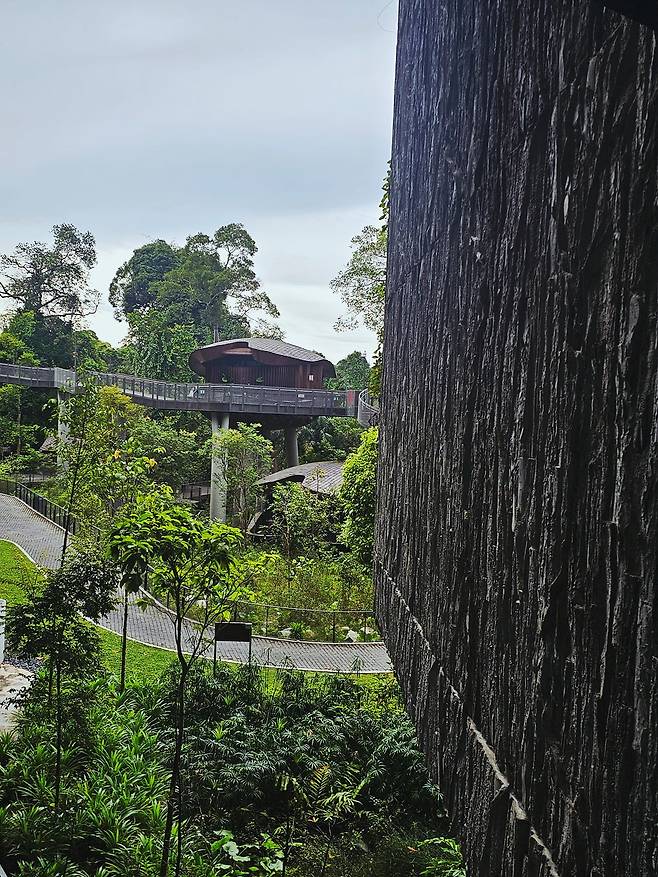 국립공원에서 자연사한 나무의 껍질을 건축 외벽의 콘크리트 패턴으로 사용했다(사진=정상미)