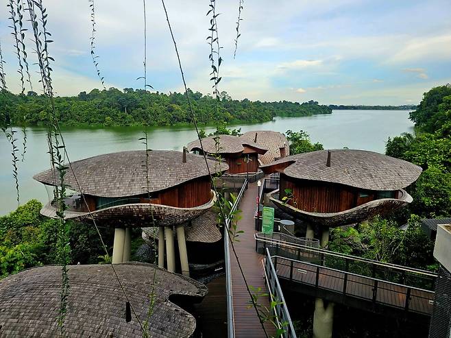 만다이 레인포레스트 리조트 바이 반얀트리의 트리하우스(사진=정상미)