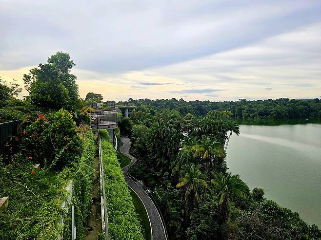 반얀 그룹과 만다이 와일드라이프 그룹의 협업으로 탄생한 만다이 레인포레스트 리조트 바이 반얀트리(사진=졍상미)