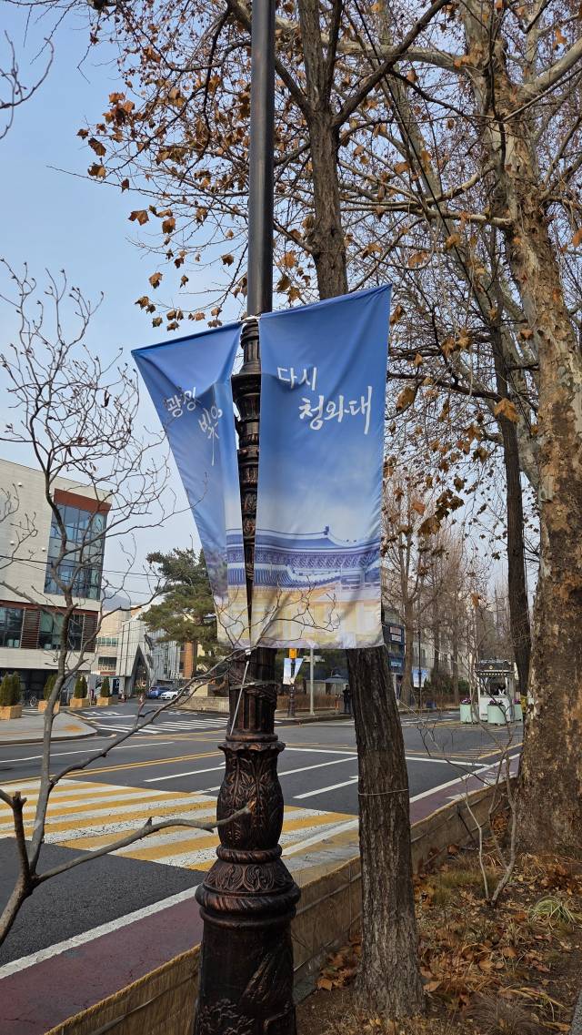 29일 서울 종로구 청와대로 향하는 길 가로수에 복귀를 알리는 현수막이 붙어 있다. 박민주 기자