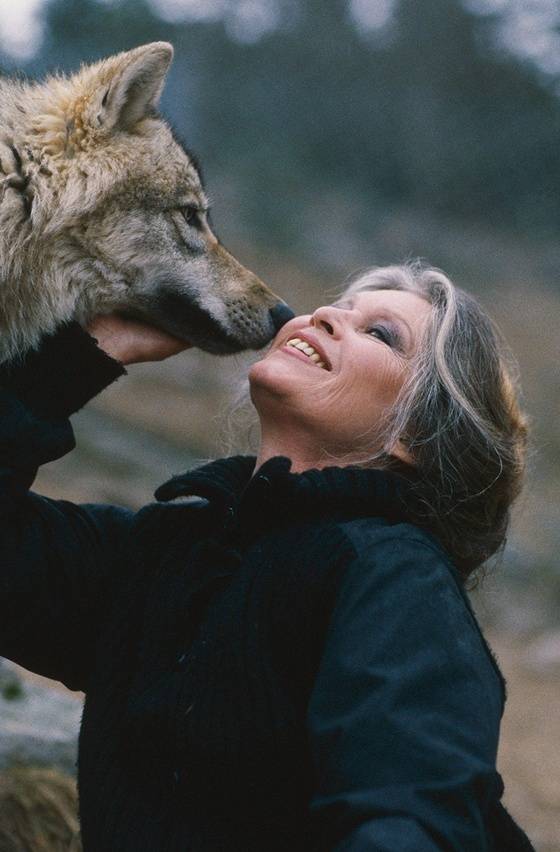 /사진=故 브리지트 바르도 X 계정