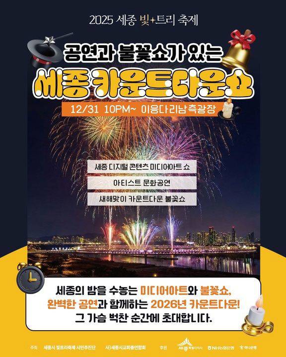 세종시 불꽃쇼 포스터. /장남들 보전 시민모임 제공