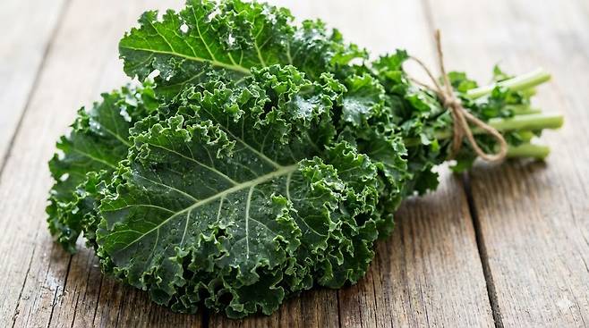 케일은 칼슘·비타민 K와 항산화 성분이 많아 뼈 건강과 노화 관리에 유리하다｜출처: Gemini 생성